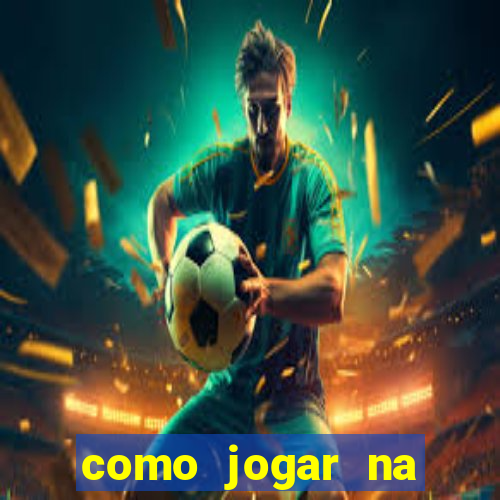 como jogar na loteca pela internet